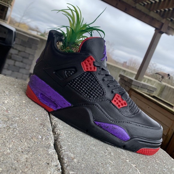 Air Jordan 4 raptors sneaker planter - Picture 2 of 4